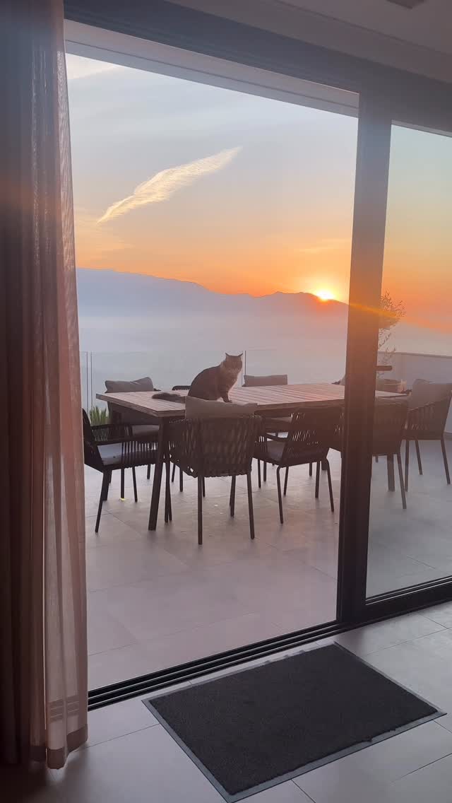 It’s that time of the year again,
when we clear out the living room
to make space for the practice room 🧘🏻‍♀️

We can’t wait to welcome you
and share these moments together 🥘💃🏻

We’re so ready for those long warm summer evenings! 
Let the retreat season begin! 🫶🏻😍

#Retreatvenue #venueretreat #yogaretreat #suryahouses #yogavenue